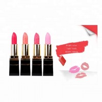 Fashion color waterproof Easy To Wear cosmetic lipstick